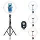 AgfaPhoto Realiview ARL11XL 120 Led Ring Light with Adjustable Tripod
